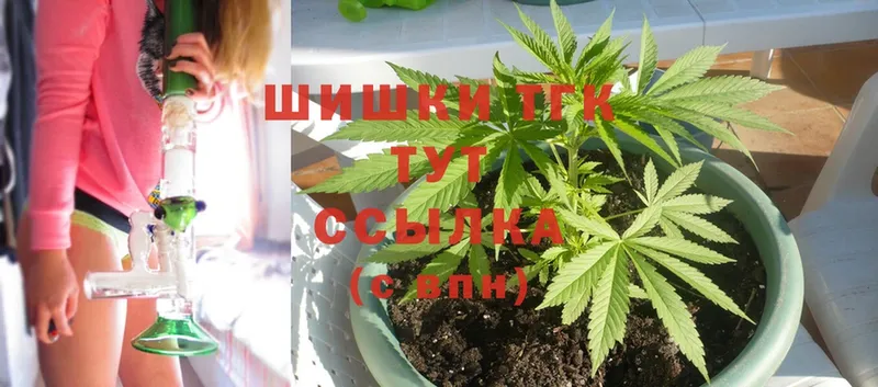 Канабис OG Kush  Красноуральск 